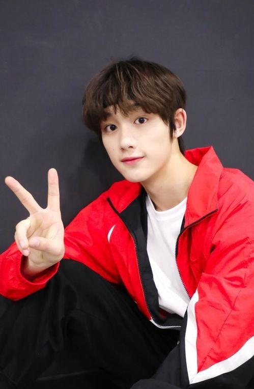 独家娱乐八卦爆料丁程鑫,娱乐圈背后的惊人真相