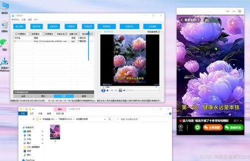 生活小爆料视频下载安装,视频下载安装全攻略  第3张